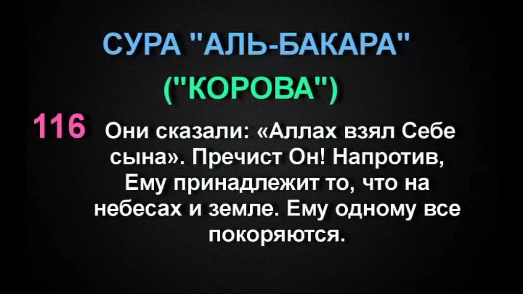 Сура 2 корова. Сура. Сура корова. Сура Аль Бакара. Сура корова 116 аят.