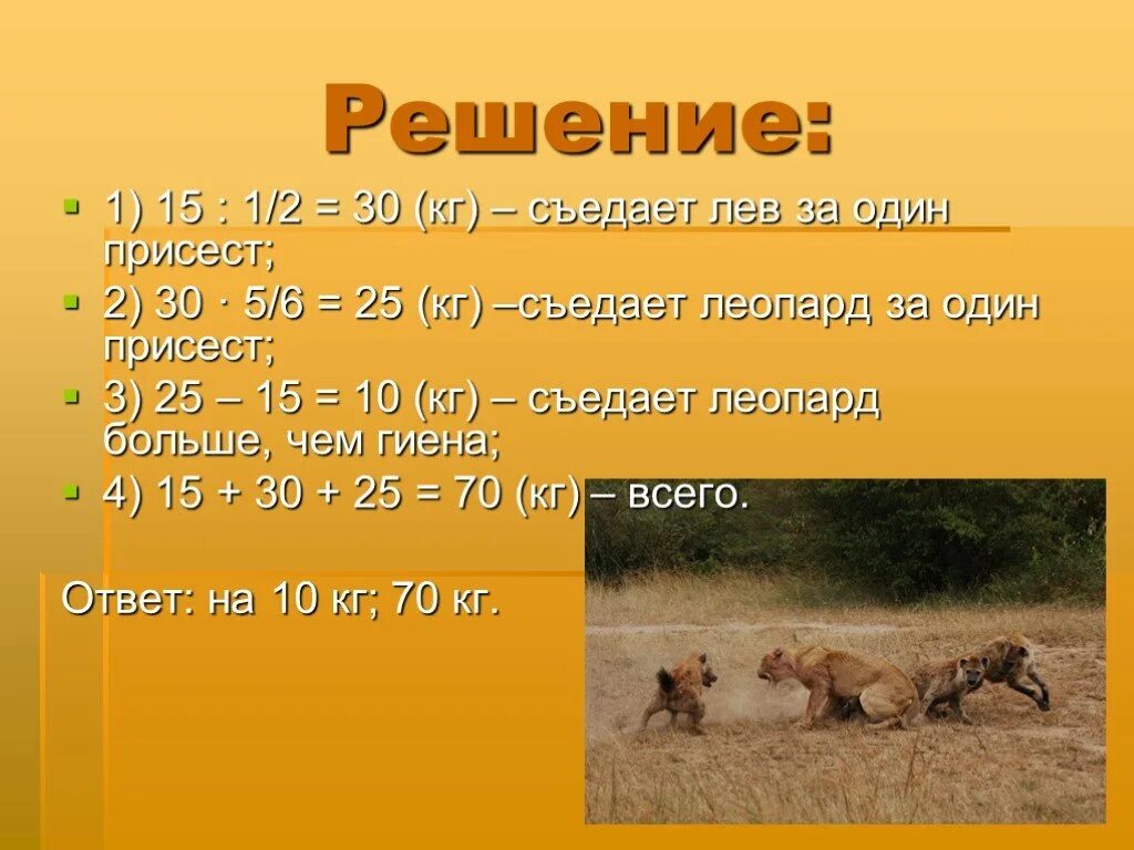 Сколько съедает Лев в день. Сколько мяса ест Лев в день. Сколько кг мяса съедает Лев в день. Задача съедает за. Лев сколько кг