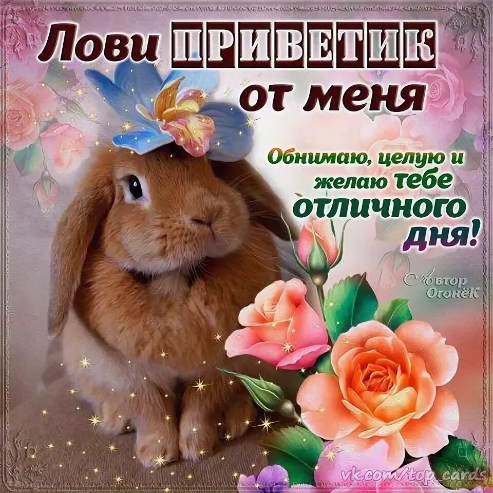 Целую обнимаю хорошего дня желаю