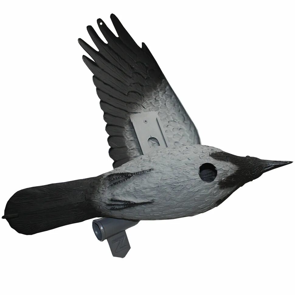 Чучело вороны. Серая ворона чучело. Муляж вороны на колышке sport plast cr 751. Муляж ворон cr 750 sport plast. Чучела ворон скорлупки.