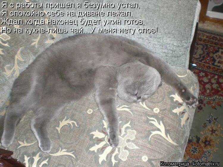 Уставший пришел домой. Я устала я спать. Я пришла с работы. Пришла домой с работы. Пришла домой грустная и уставшая.