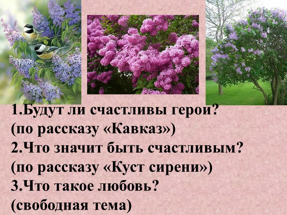 Счастье и несчастье героев рассказа кавказ. Герои рассказа Кавказ. Счастливы ли герои рассказа Кавказ. Будут ли счастливы герои рассказа Кавказ. Счастлива ли героиня в произведение куст сирени.