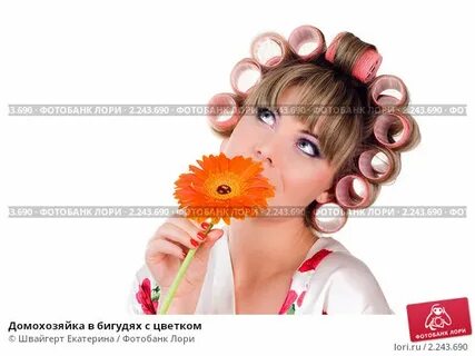 Лиса в бигудях салон