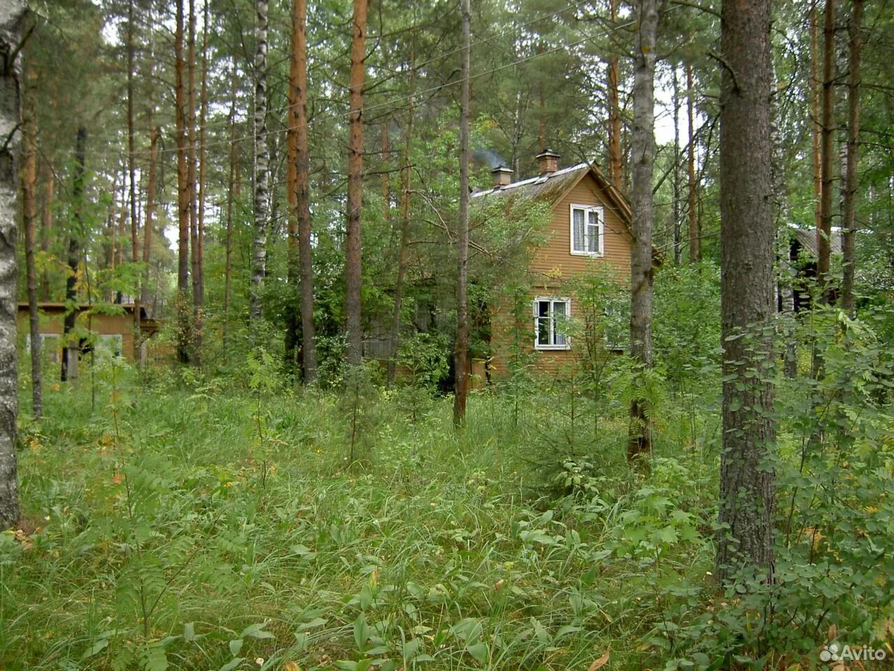 Купить дом в сосново ленинградской области. Орехово Приозерский район Ленинградской области. Орехово поселок Приозерский район. СНТ Орехово Приозерский район. 67 Км Приозерского шоссе.