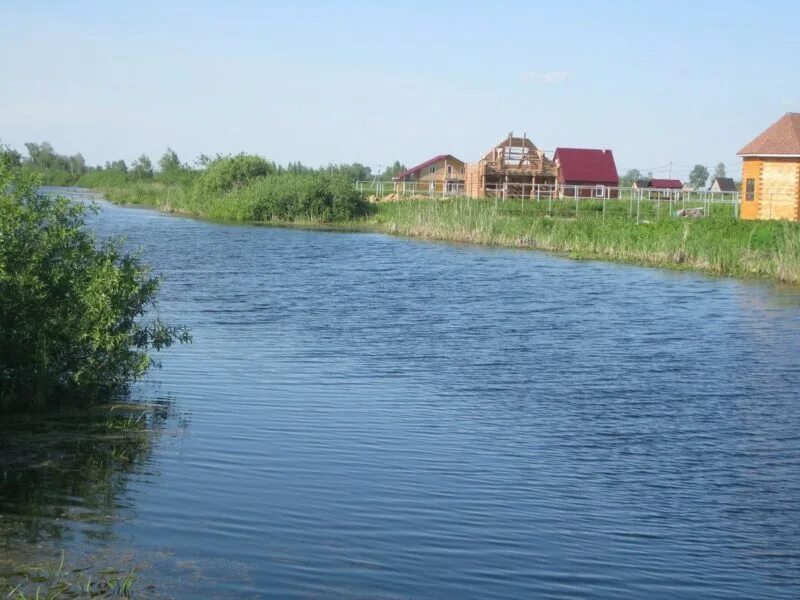 Снт озера купить. Озеро Виланное Новосибирск. Озеро Рыбачье Новосибирск. Озеро хищник Колыванский район. СНТ озеро.