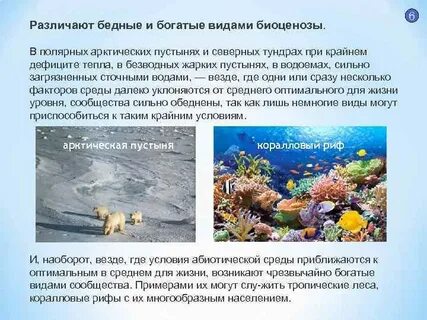 Богатые экосистемы