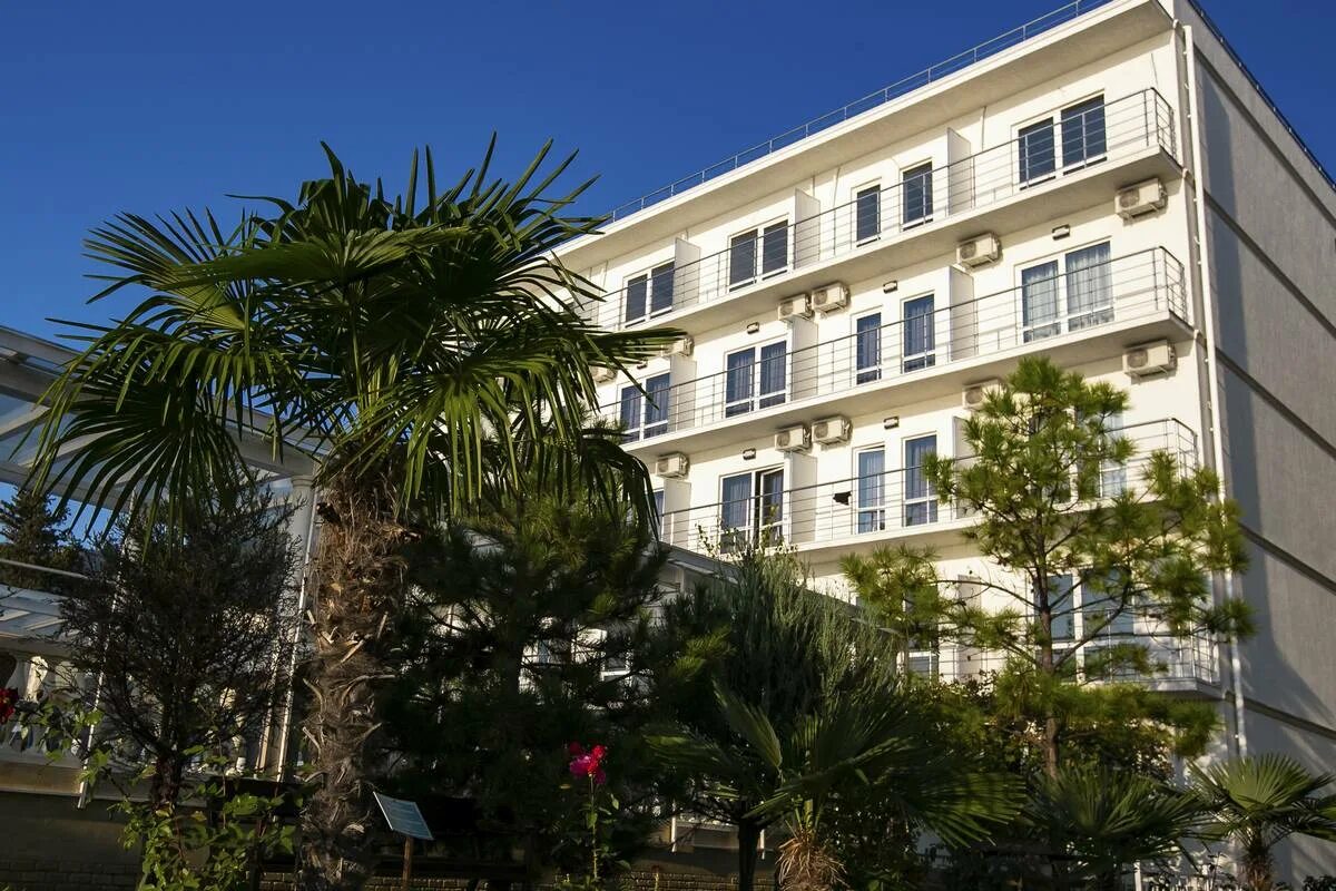 алекс резорт спа отель. алекс спа гагра. отель алекс бич абхазия гагра. алекс резорт спа отель 4 абхазия. алекс ресорт спа отель гагра.