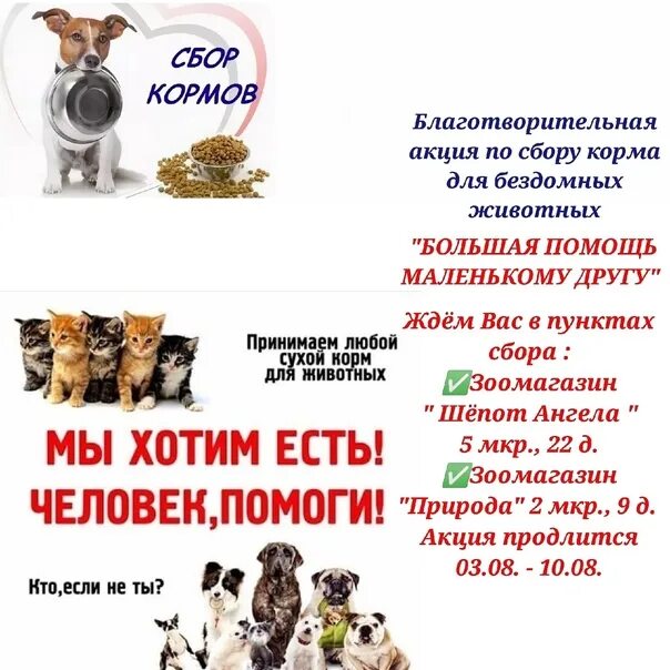 Акция по сбору корма для животных. Акция по сбору корма для бездомных животных. акция по сбору кормов для бездомных животных. благотворительная акция сбор корма для животных.