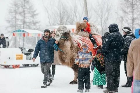 Масленица в чехове 2024 года