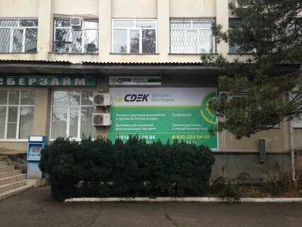 Сдэк изобильный