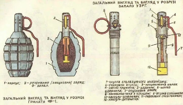 Схема гранаты ф1. Устройство гранаты ф1. Составные части гранаты ф1. Строение запала гранаты ф1.