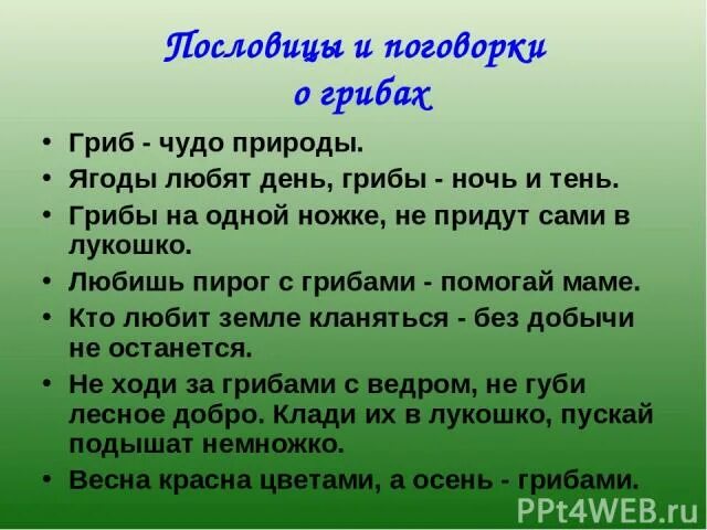 Поговорки на тему грибы. Загадки и поговорки о грибах. Пословицы грибы и ягоды. Поговорки про грибы. На одной ноге я пришел