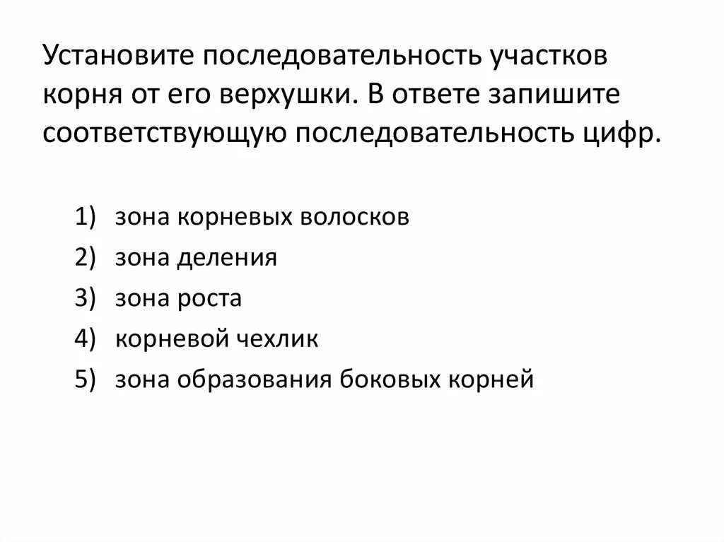 Последовательность участков корня начиная с верхушки