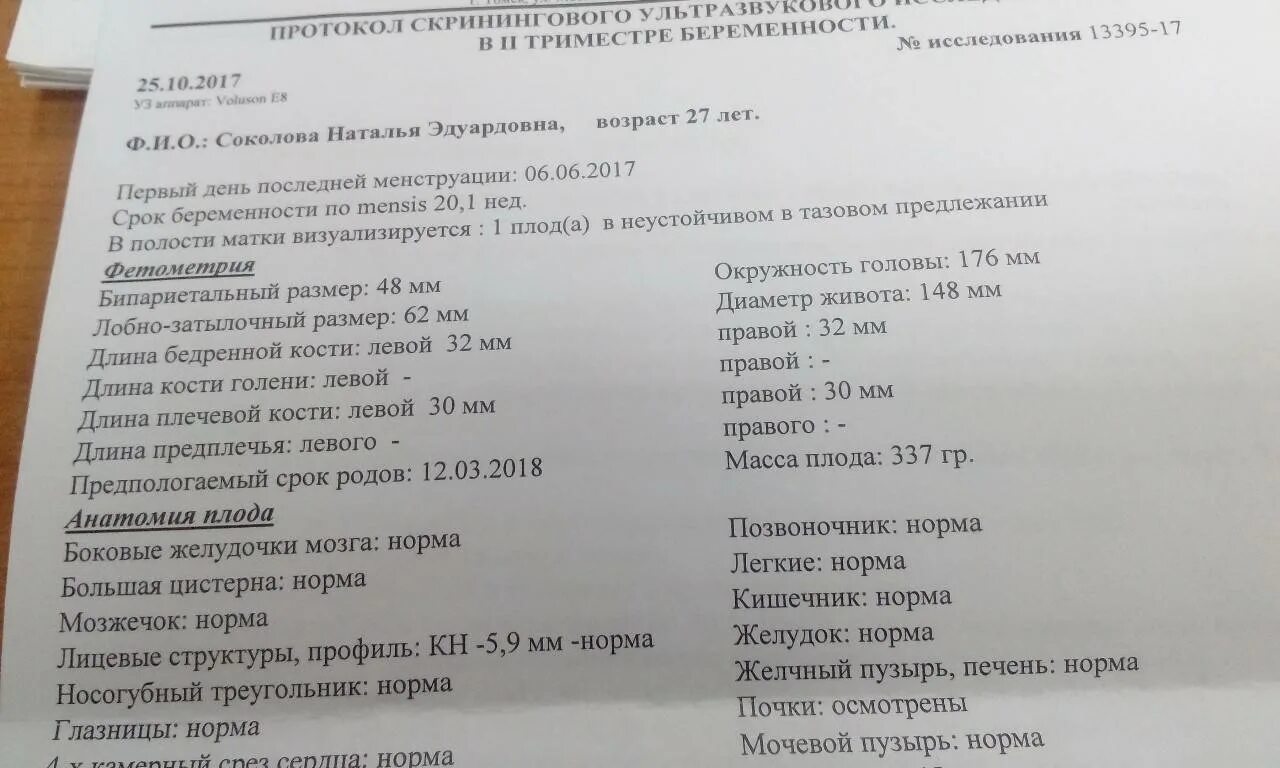 Задние рога боковых желудочков плода норма 20. Почки у плода на 20 неделе беременности норма. Боковые желудочки мозга у плода. Расширение боковых желудочков у плода.