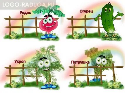 Мы пришли на огород несложный и веселый