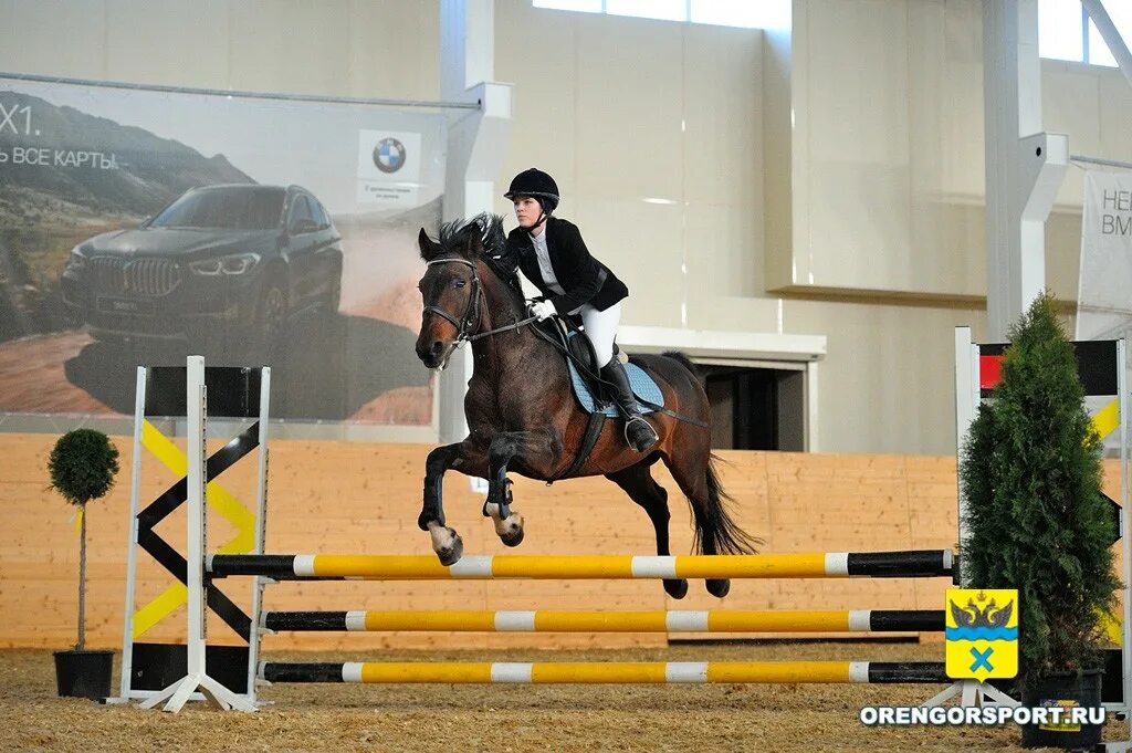 Конная прогулка оренбург. Конный клуб оренбург. Конный комплекс дубровский оренбург. Конный клуб талисман тверь. Конный клуб гармония оренбург.