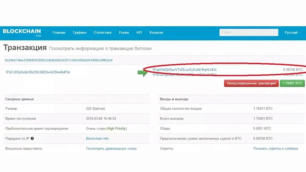 Просмотр транзакций. Ссылка на транзакцию. Подтверждение транзакции. Подтверждение транзакции биткоин. Блокчейн транзакции.