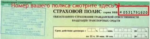 Где находится серия и номер страхового полиса Как найти номер своего полиса