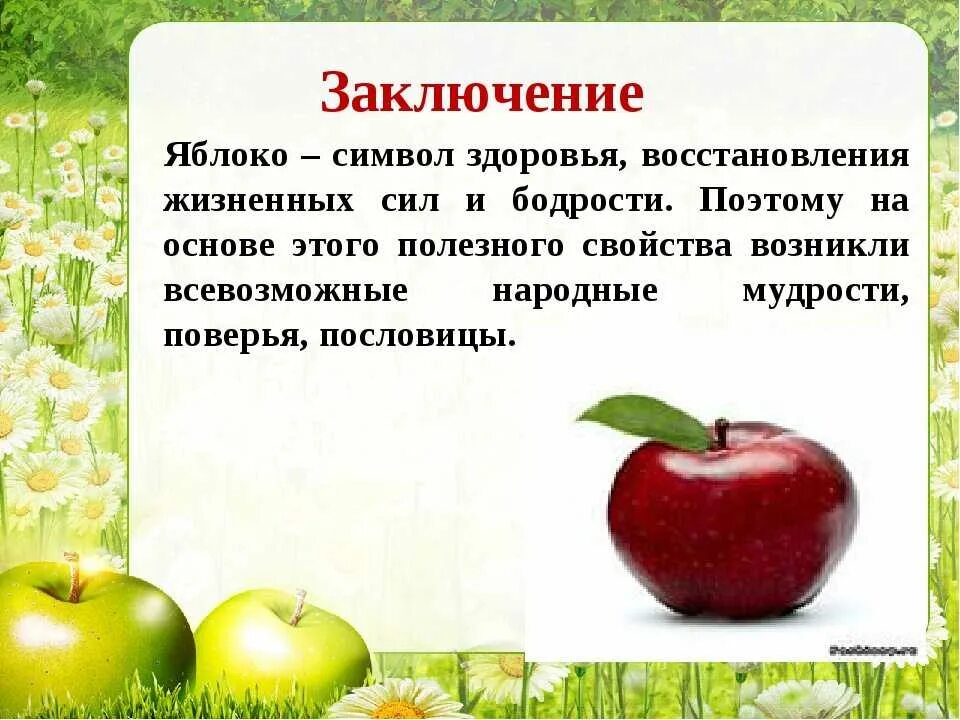 Текст про яблоко. Интересные факты о яблоках. Образ яблока в литературе. Факты о яблоне для детей. Яблоко информация.