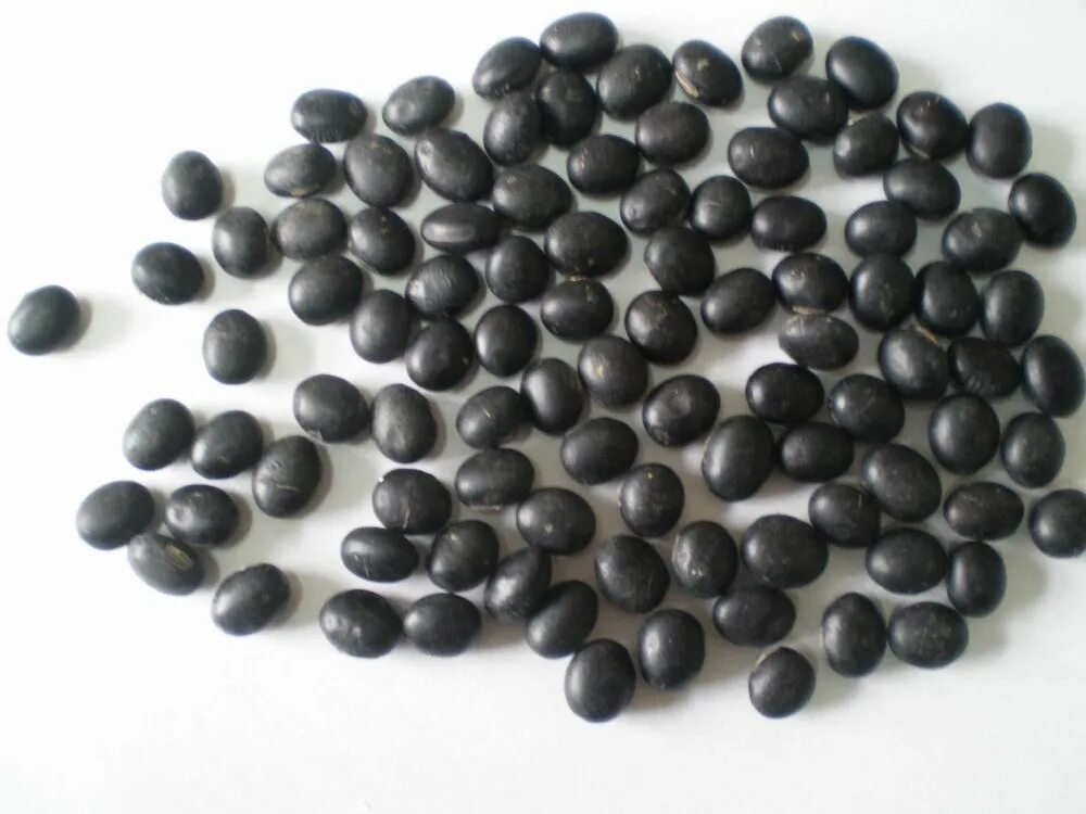 Кофе в зернах rokka йемен mocca matari. Мелкие круглые семена. Trs mustard seeds (brown) семена горчицы (коричневые) 1000г. Brassica nigra - горчица черная. Черные круглые семена.