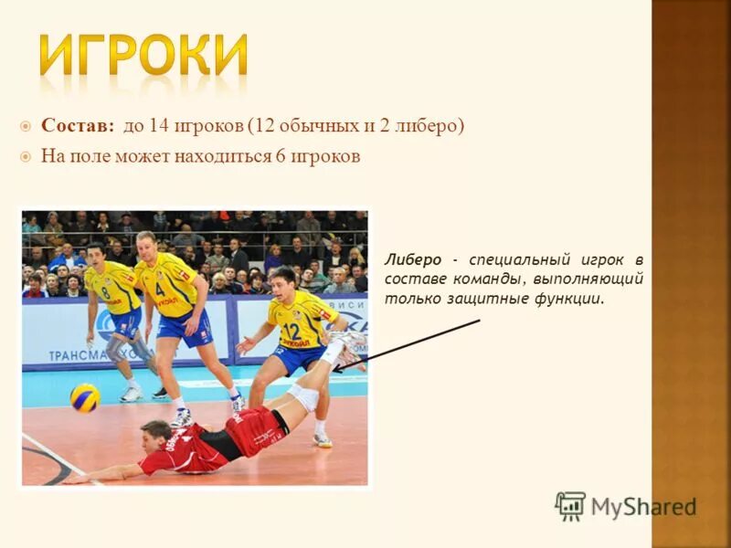 сколько основных игроков входят в состав команды по баскетболу. сколько игроков в составе. сколько игроков в составе. сколько игроков в футбольной команде. сколько основных игроков в баскетболе.