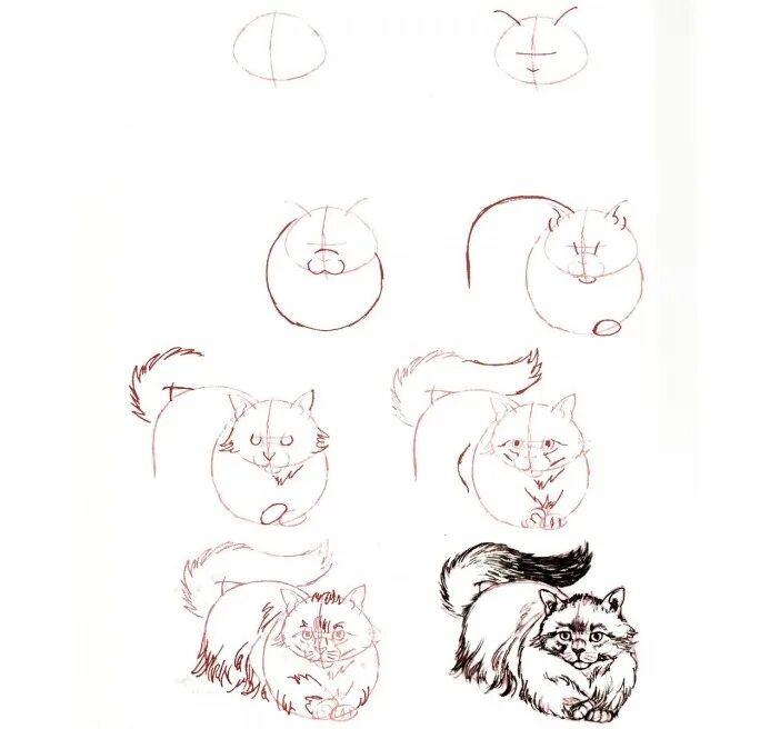 Рисовать поэтапно котиков. Поэтапное рисование карандашом. Красивые рисунки пошагово. Сложные поэтапные рисунки.