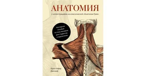 Книга анатомия женщины