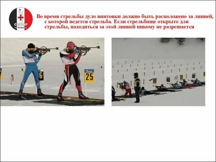 Биатлон относится к виду спорта