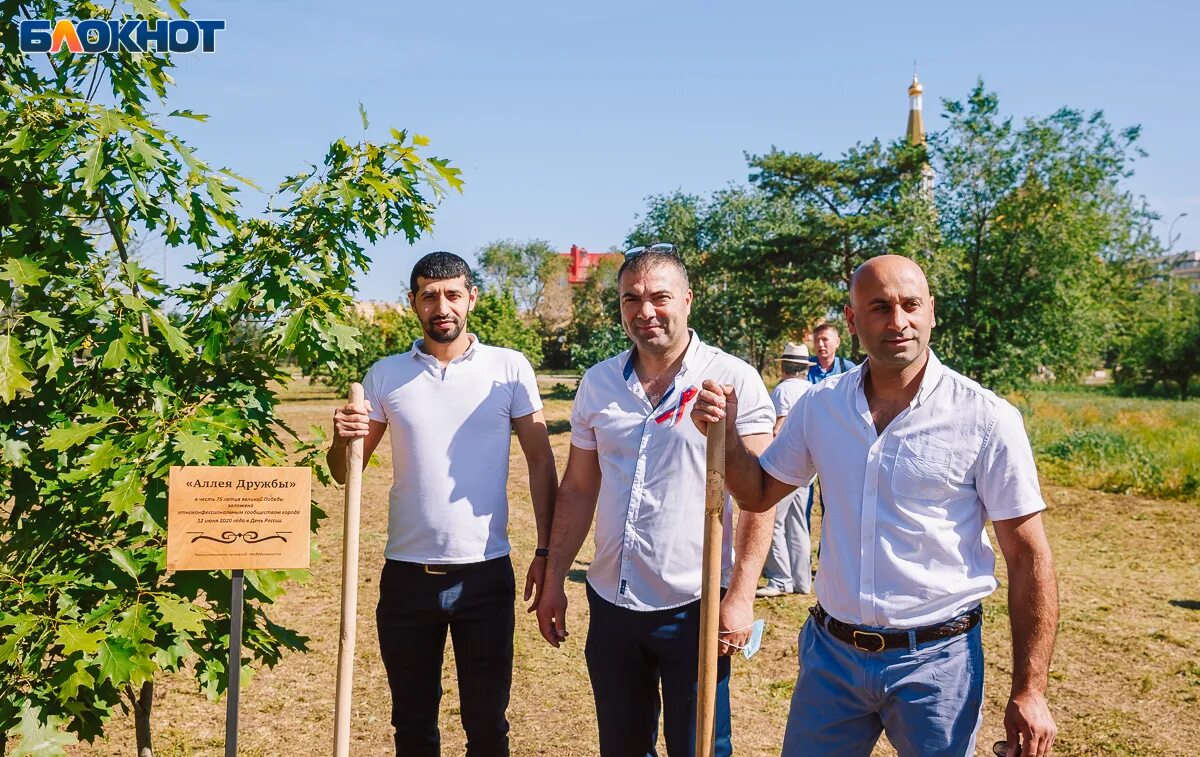 Парк дружбы Волжский. Аллея дружбы проект. Аллея дружбы Бузулук. Аллея дружбы Волжский. Дружба бузулук