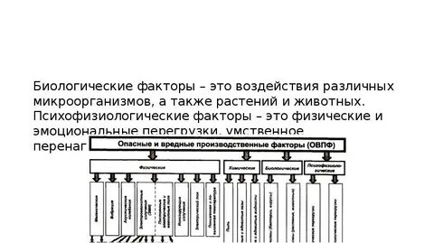 Биологические психофизиологические физические факторы