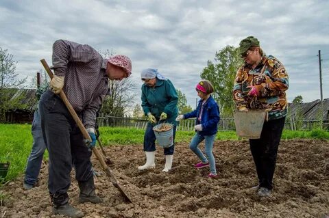 Картинки труд людей весной