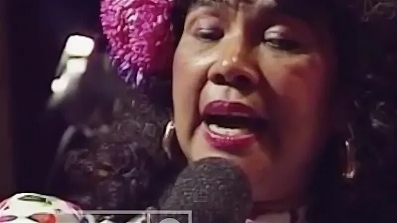 Rosa vives toto la