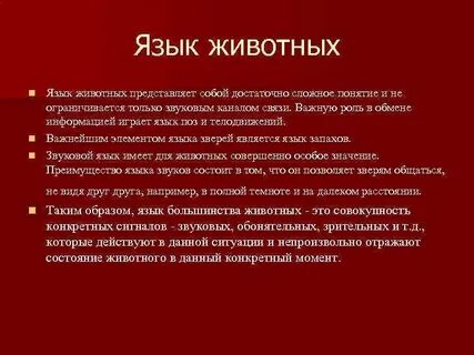 Проект общение животных