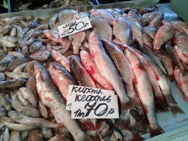 Таганрог рыбный рынок. Рыба на рынке. Рыба продается на рынке. Свежая рыба на рынке.