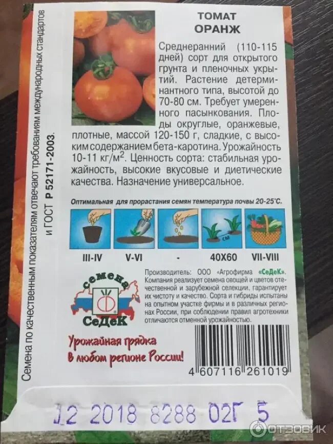 Томат оранж СЕДЕК. Томаты Амана оранж сорта. Семена томат Амана оранж. Амана оранж томат описание.