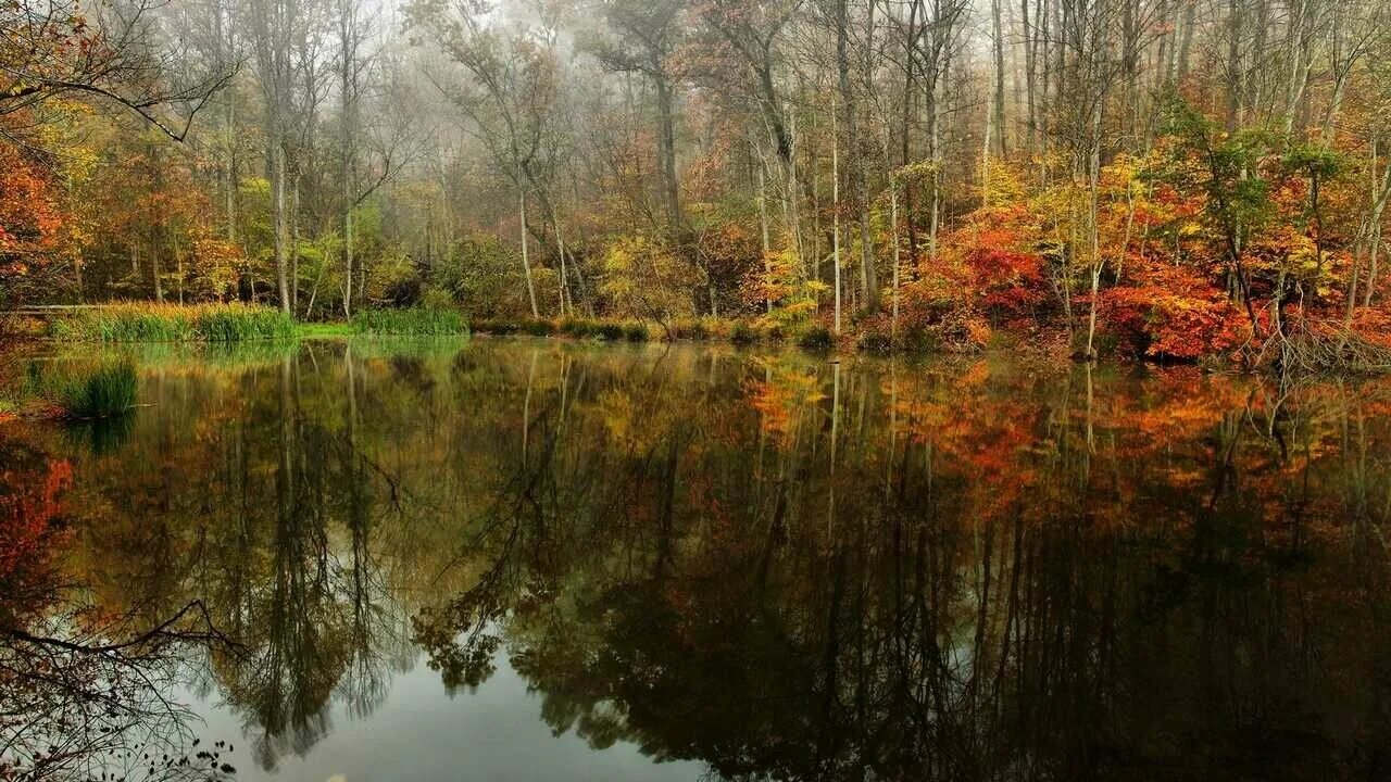Autumn At The Lake by https://www.deviantart.com/montag451 on @DeviantArt Paysag