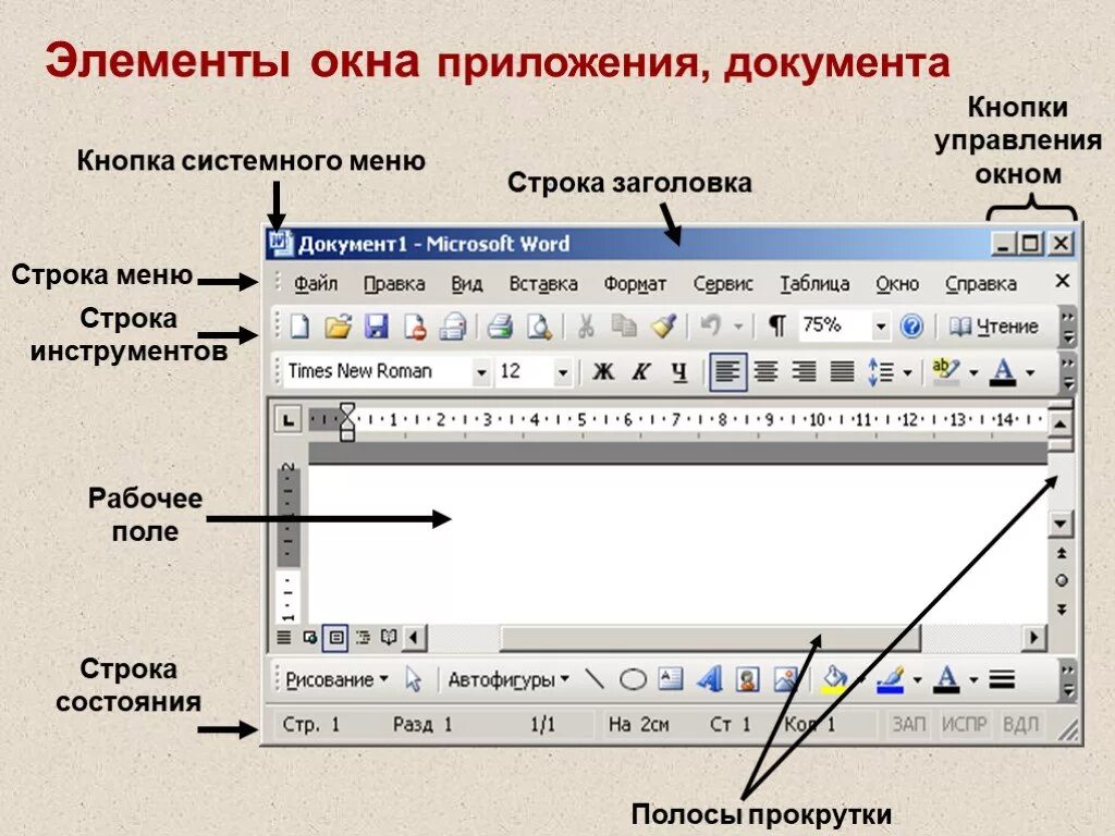 Элемент окна кнопка. Элементы окна приложения. Окно приложения. Элементы управления окном приложения. Основные элементы окна приложения.