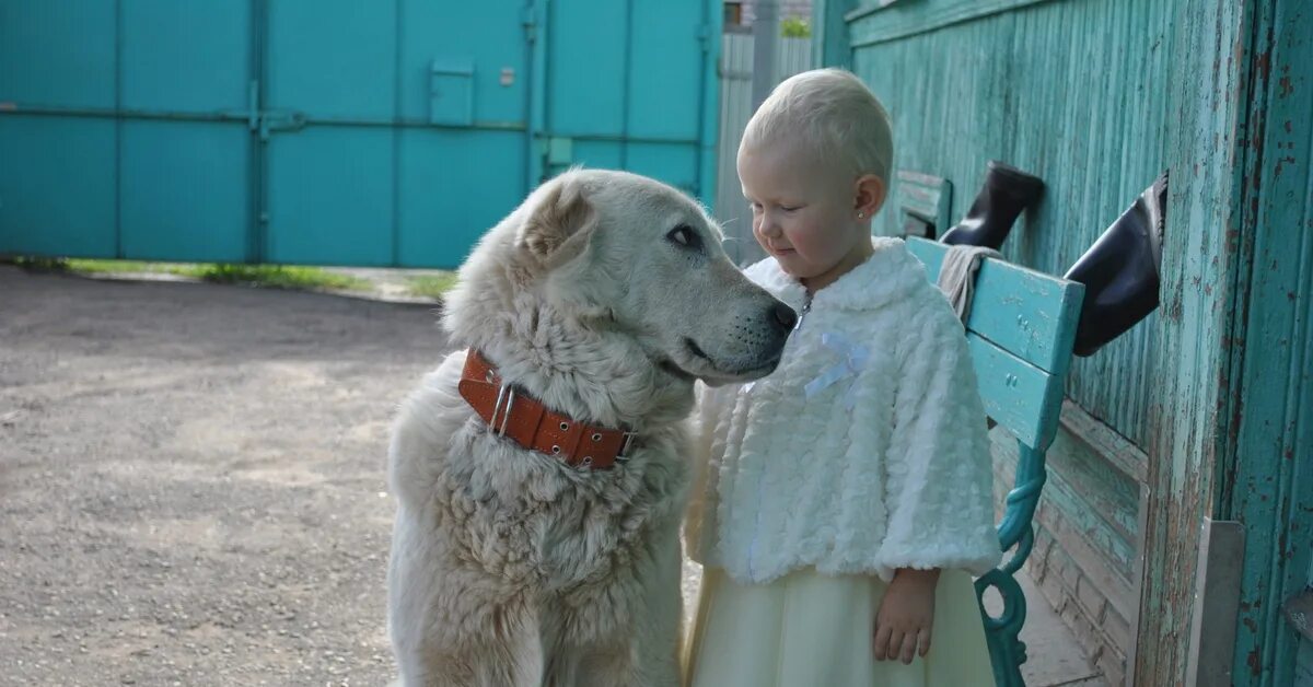 Dog village. Собачья деревня. Собака в деревне.