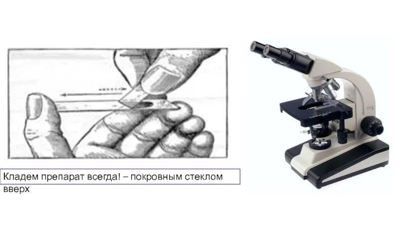 Биолам ломо. Биолам ломо. Положили препарат на предметный столик. Микроскоп pzo sk14. Микроскоп альтами цифровой.