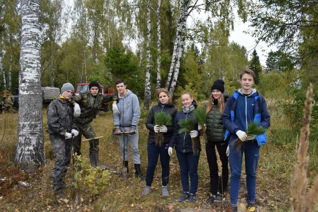 леса великого новгорода. лесное хозяйство нижний новгород. лесное хозяйство нижний новгород. кананикольский лесхоз. лесничество нижний новгород.