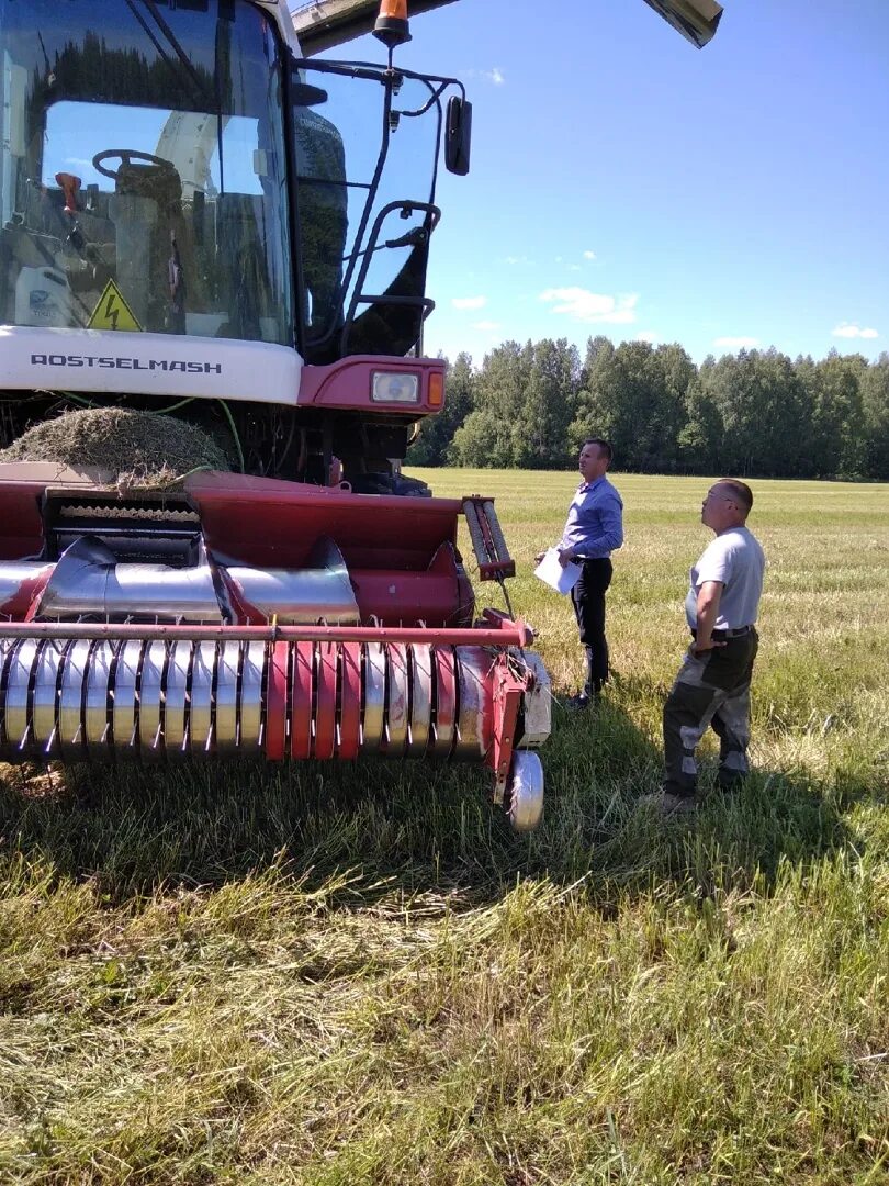первый комбайн. регионы сельского хозяйства россии. лизинг комбайнов. кормоуборочный комбайн рсм 1401. техосмотр сельхозтехники.