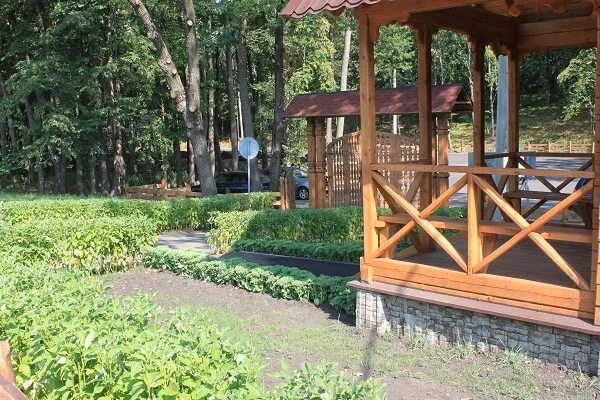Лыжероллерная трасса новая усмань. Кафе дубрава новая усмань. Дубрава воронеж новая усмань. Парк дубрава воронеж. Дубрава воронеж новая усмань.
