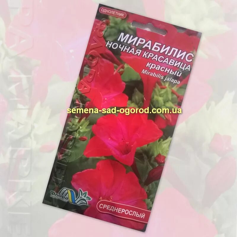 Семена зорька. Мирабилис семена. Семена цветов мирабилис. Семена ночной зорьки. Цветы ночная красавица семена.