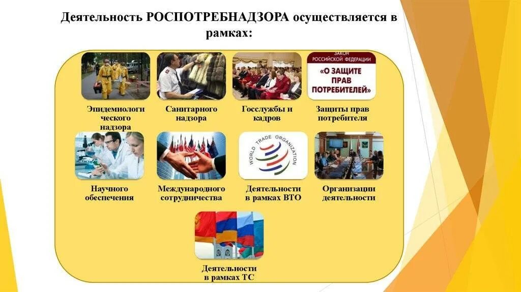 Качество товара роспотребнадзор. Основные виды деятельности роспотребнадзора. роспотребнадзор деятельность. принципы роспотребнадзора. роспотребнадзор задачи деятельности.