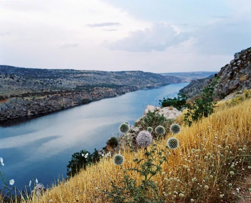 Ев рат. Река Евфрат. Река Евфрат в Турции. Епрат река. Река Евфрат фото.