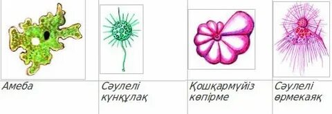 Порно менің үйіме жезөкше шақырды