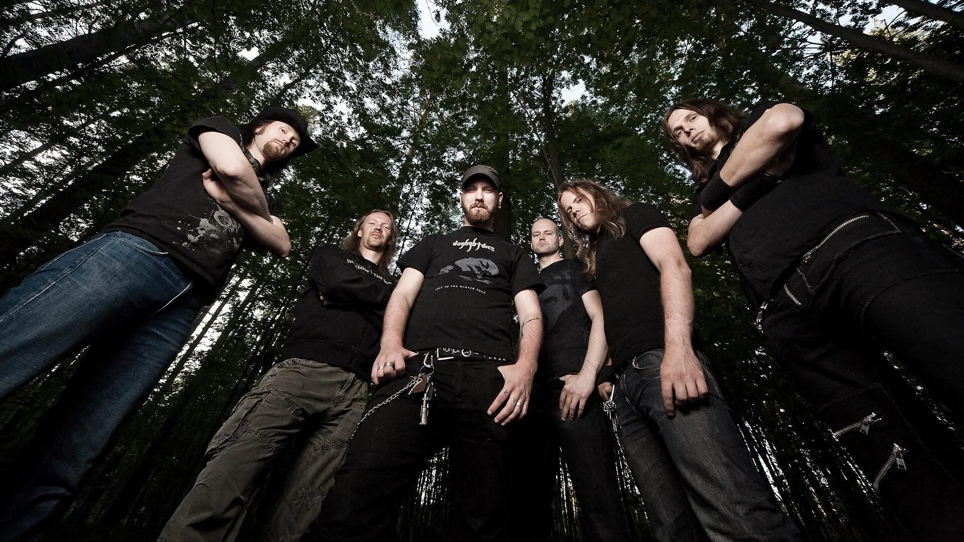 Корпайзен форест группа. Dark forest группа. Представитель группы лес. Гр лес. Dark forest группа.