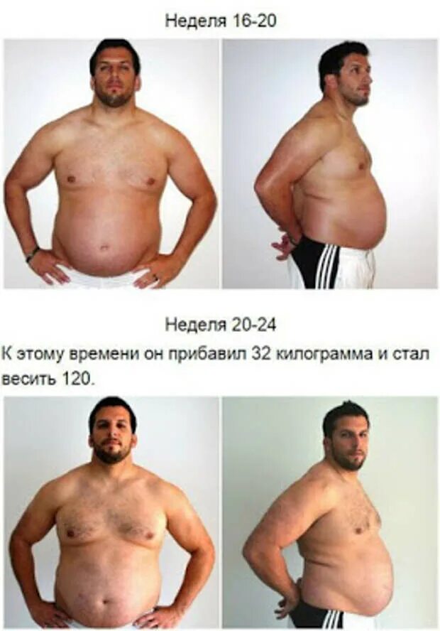 Как стать толще