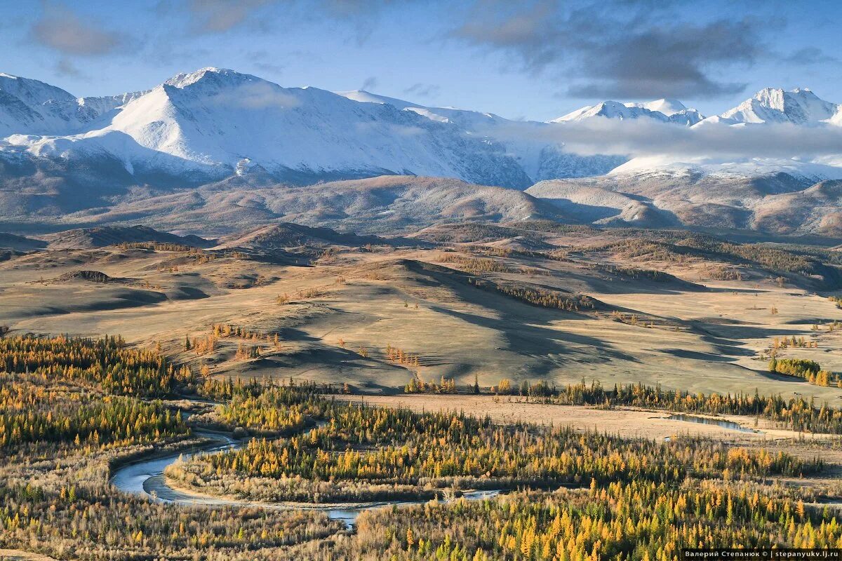 Курайская Долина горный Алтай. Курайская степь горный Алтай. Северо-Чуйский хребет, Республика Алтай. Чуйский тракт Курайская степь.