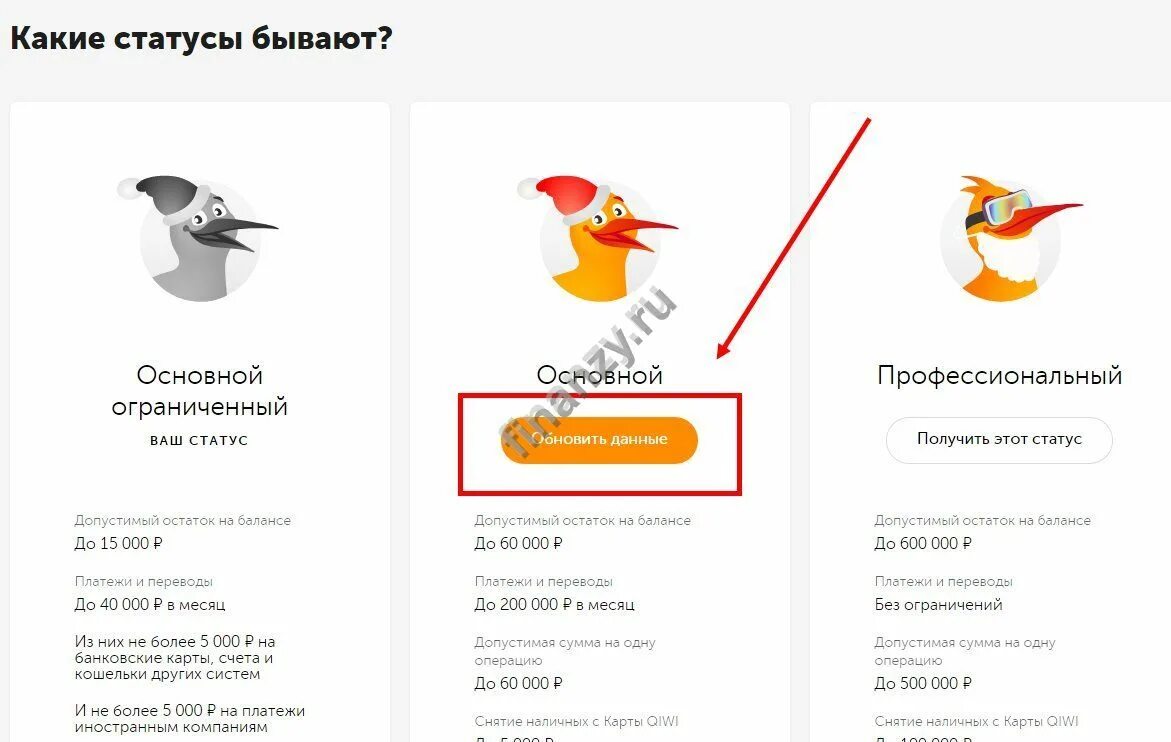 Статус киви кошелька. Основной статус киви. QIWI минимальный статус. Регистрация на киви на статус основной. Данные для регистрации киви кошелька.
